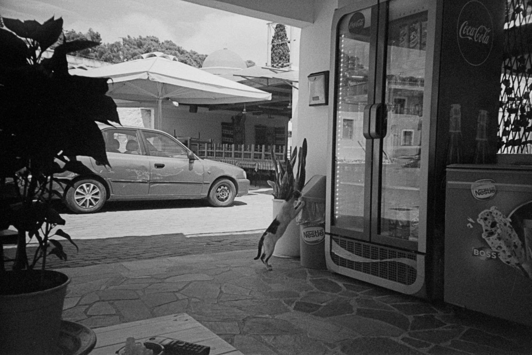 shopping in limenaria